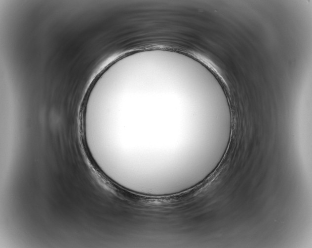 X0000086231047200703290939