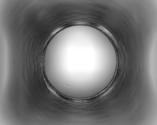 X0000086231049200703290939