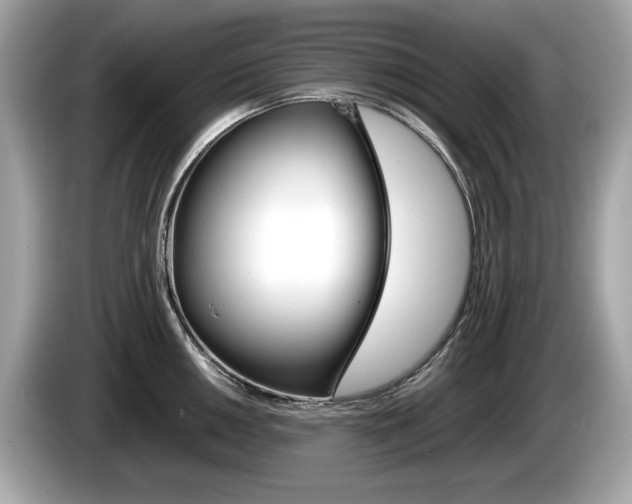 X0000086231050200703290939
