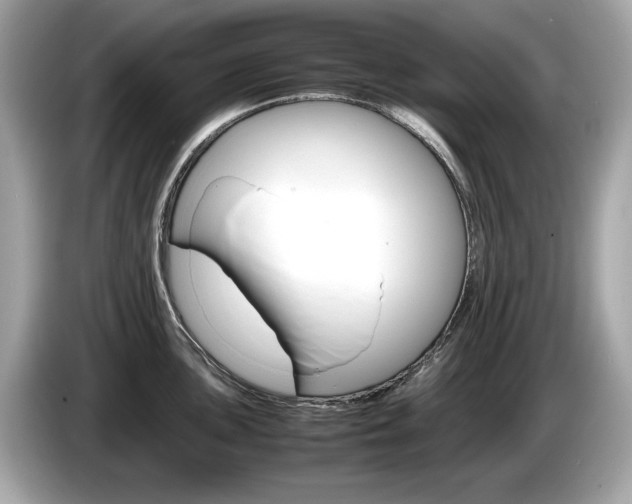 X0000086231051200703290939