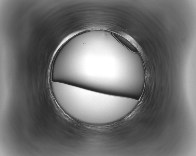 X0000086231052200703290939