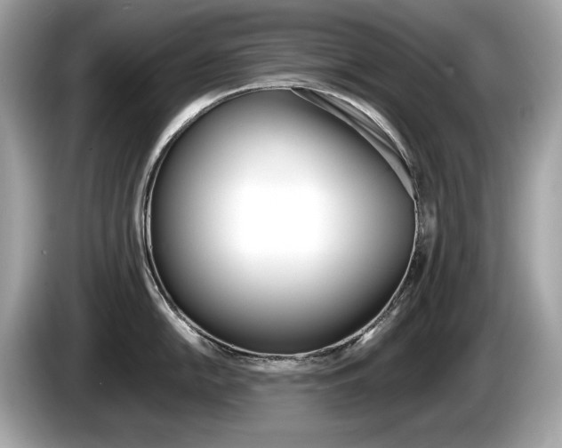 X0000086231054200703290939