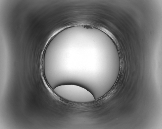 X0000086231055200703290939