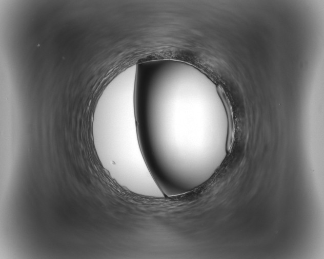 X0000086231057200703290939