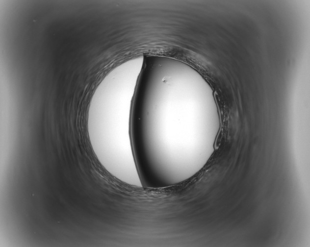 X0000086231058200703290939