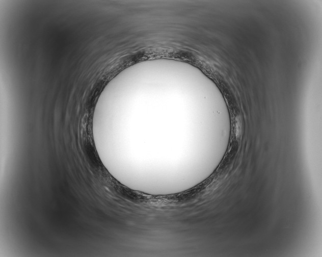 X0000086231059200703290939
