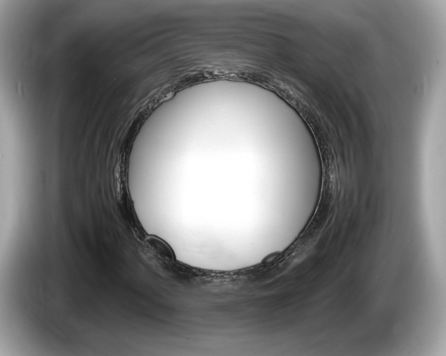 X0000086231060200703290939