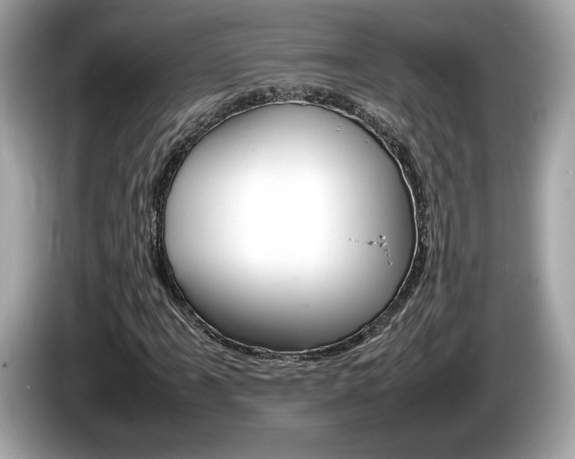 X0000086231061200703290939