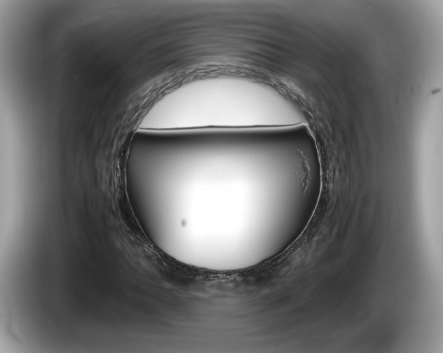 X0000086231062200703290939