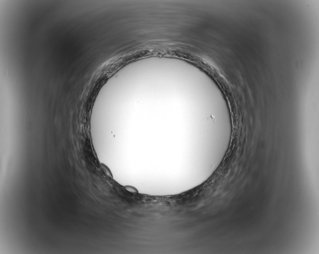 X0000086231063200703290939