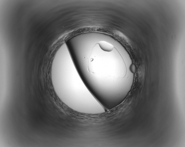 X0000086231064200703290939