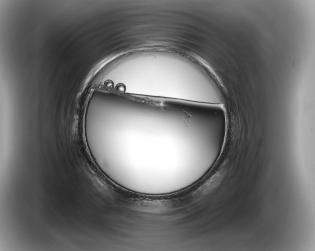 X0000086231066200703290939