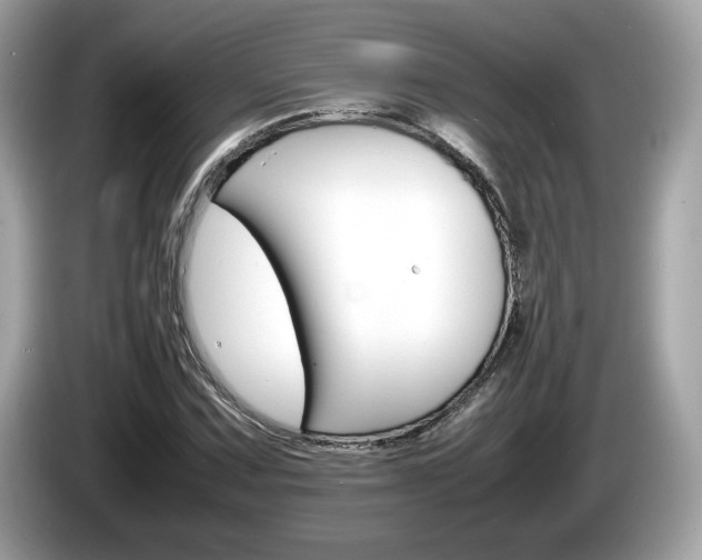 X0000086231067200703290938