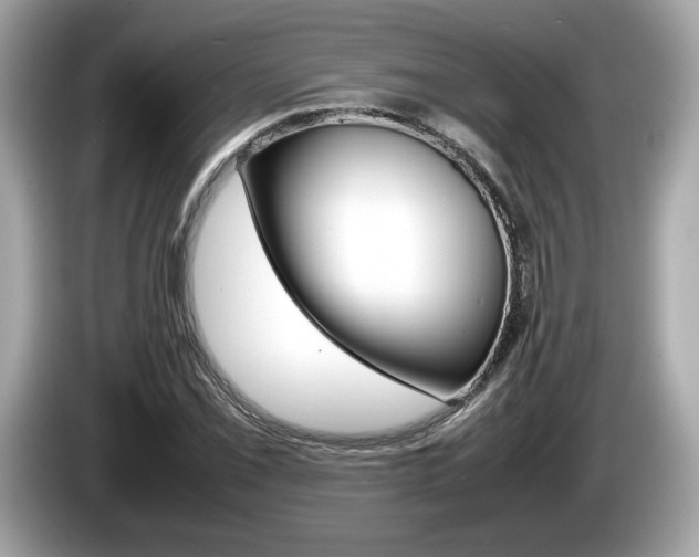 X0000086231069200703290938