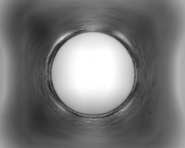 X0000086231071200703290938