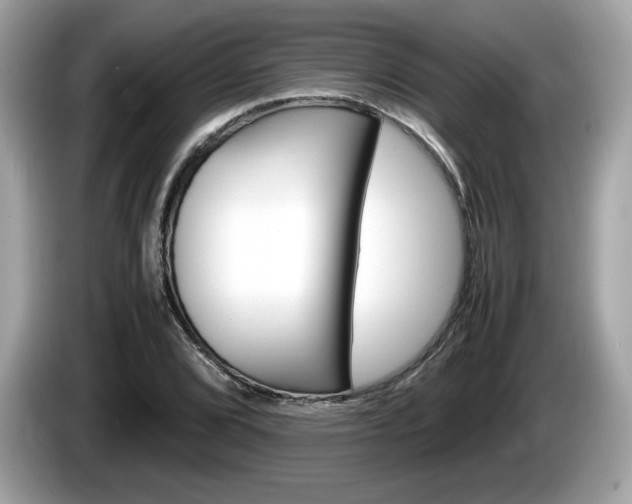 X0000086231072200703290938