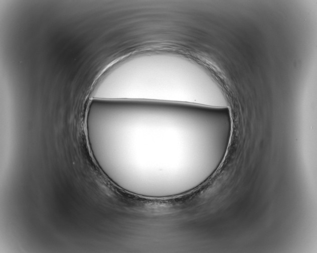 X0000086231073200703290938