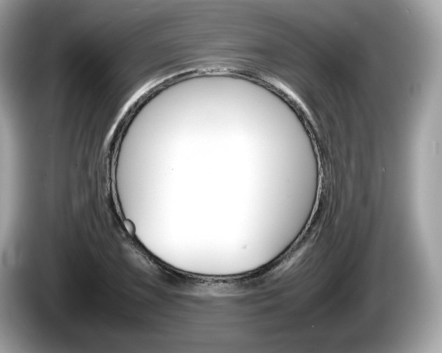 X0000086231075200703290938