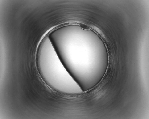 X0000086231076200703290938