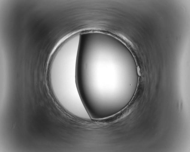 X0000086231077200703290938