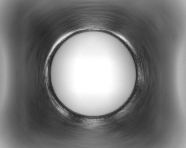 X0000086231078200703290938