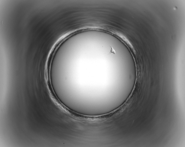 X0000086231080200703290938