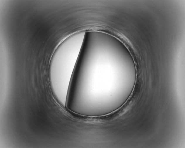X0000086231081200703290938