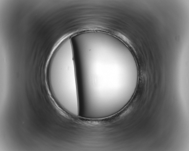 X0000086231082200703290938