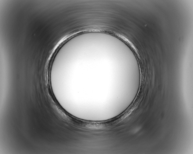 X0000086231083200703290938