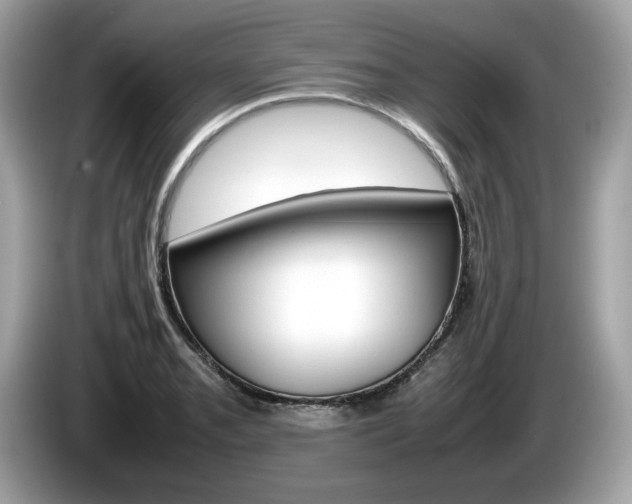 X0000086231085200703290938