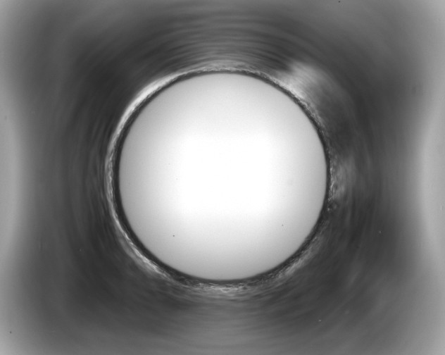 X0000086231086200703290938
