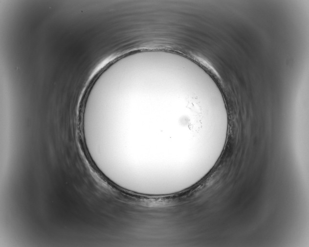 X0000086231087200703290938