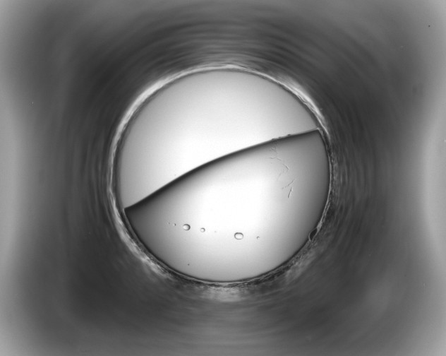 X0000086231088200703290938