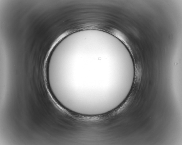 X0000086231090200703290938