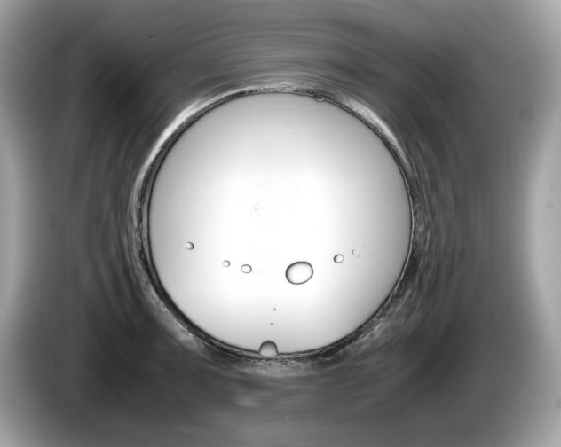 X0000086231091200703290938