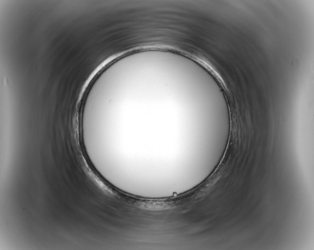 X0000086231092200703290938