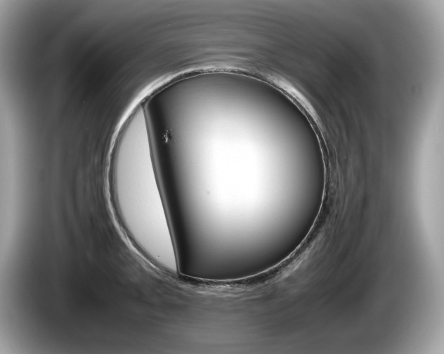 X0000086231093200703290938