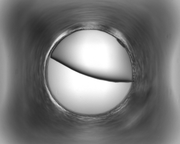 X0000086231095200703290938