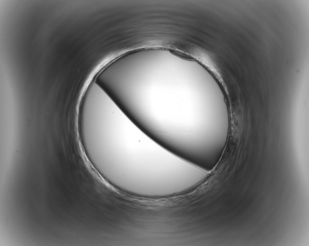 X0000086231096200703290938