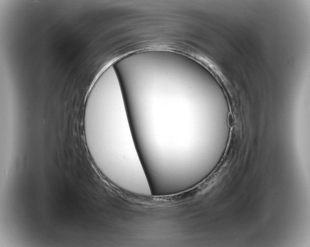 X0000086231097200703290938