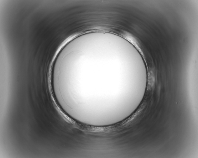 X0000086231098200703290938