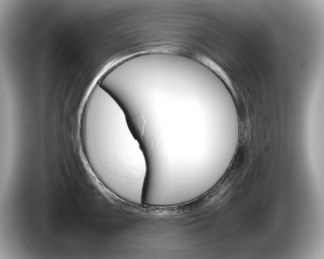 X0000086231099200703290938