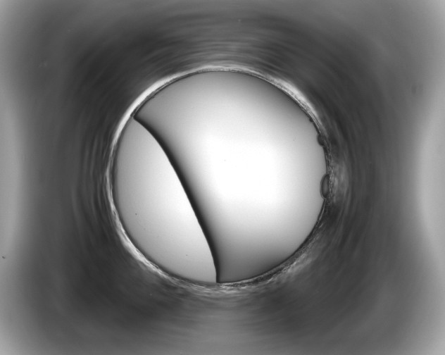X0000086231100200703290938