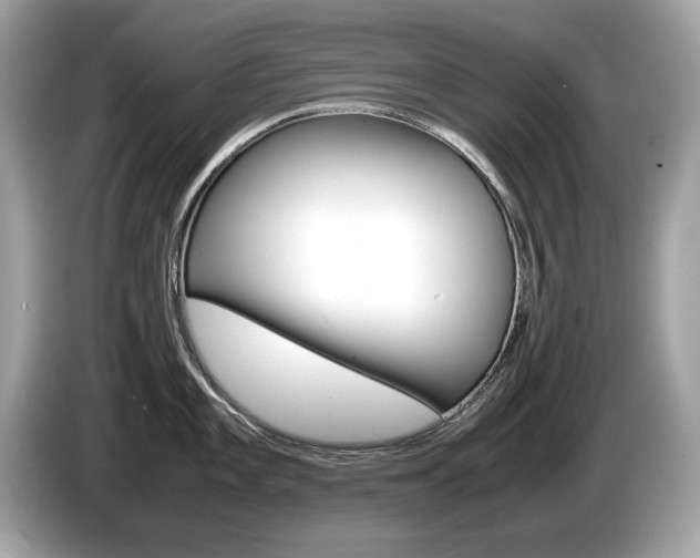X0000086231101200703290938