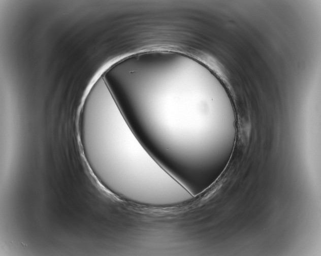 X0000086231102200703290938