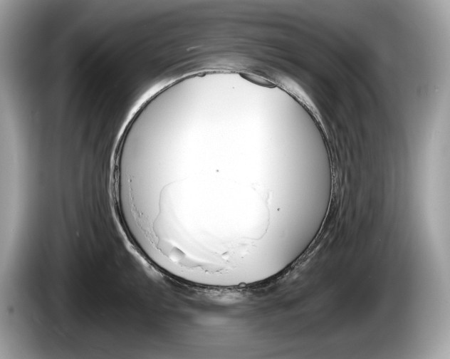 X0000086231103200703290938