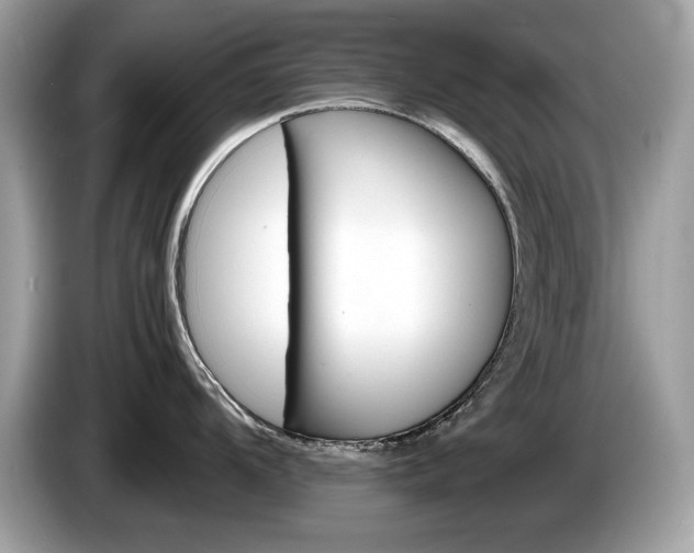 X0000086231104200703290938