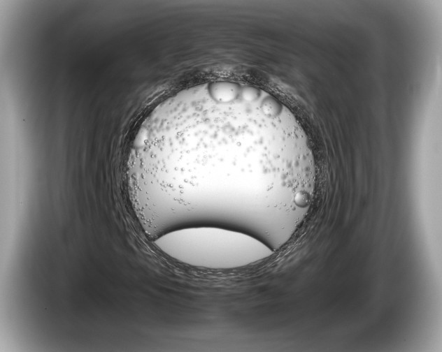 X0000086231105200703290937