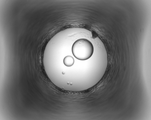 X0000086231106200703290937
