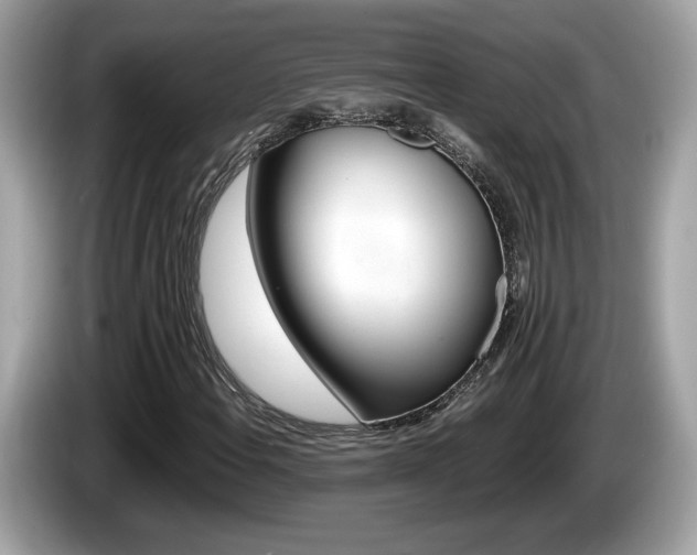 X0000086231108200703290937